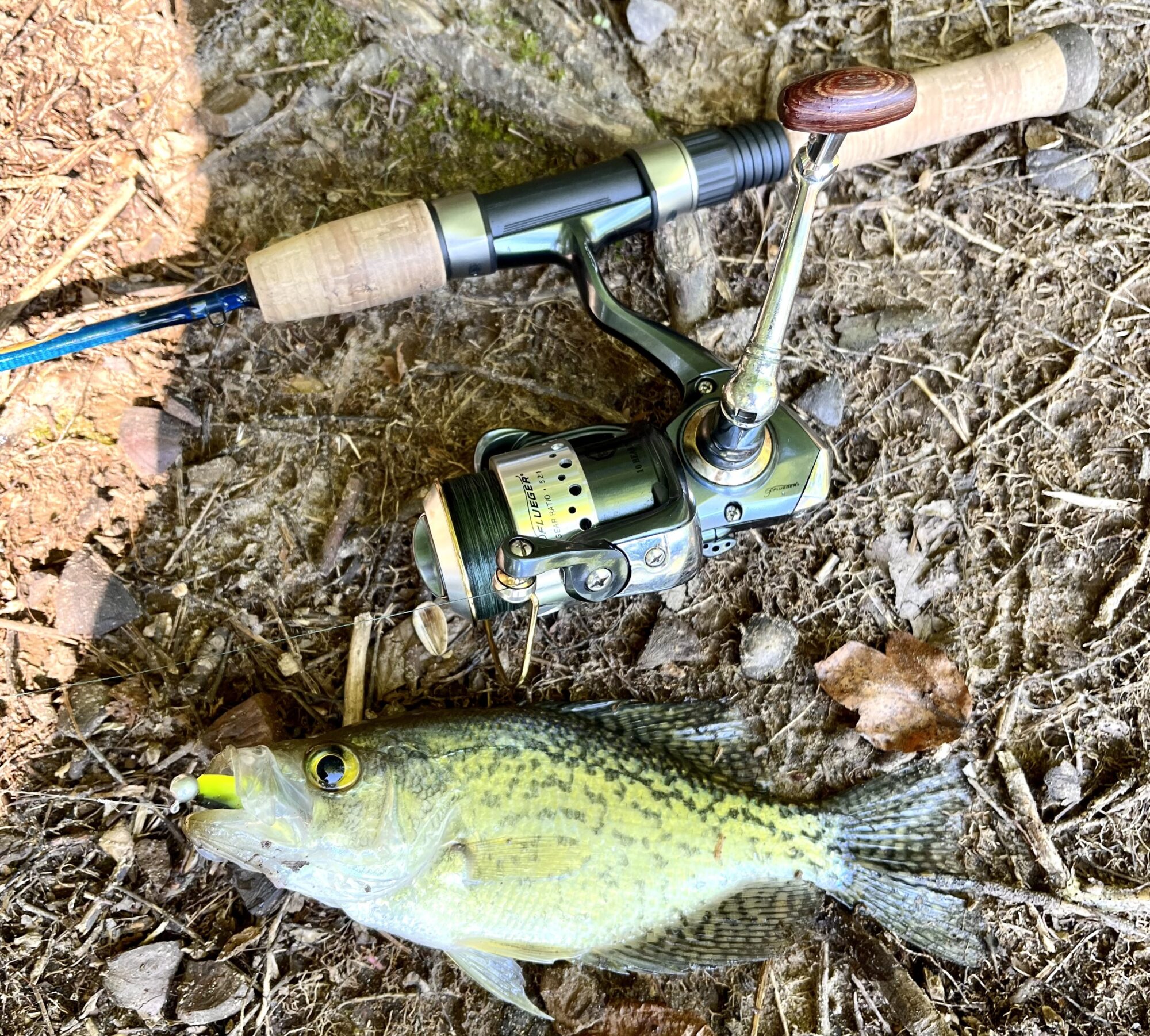 St. Croix Rods - What's your go to setup for panfish? (