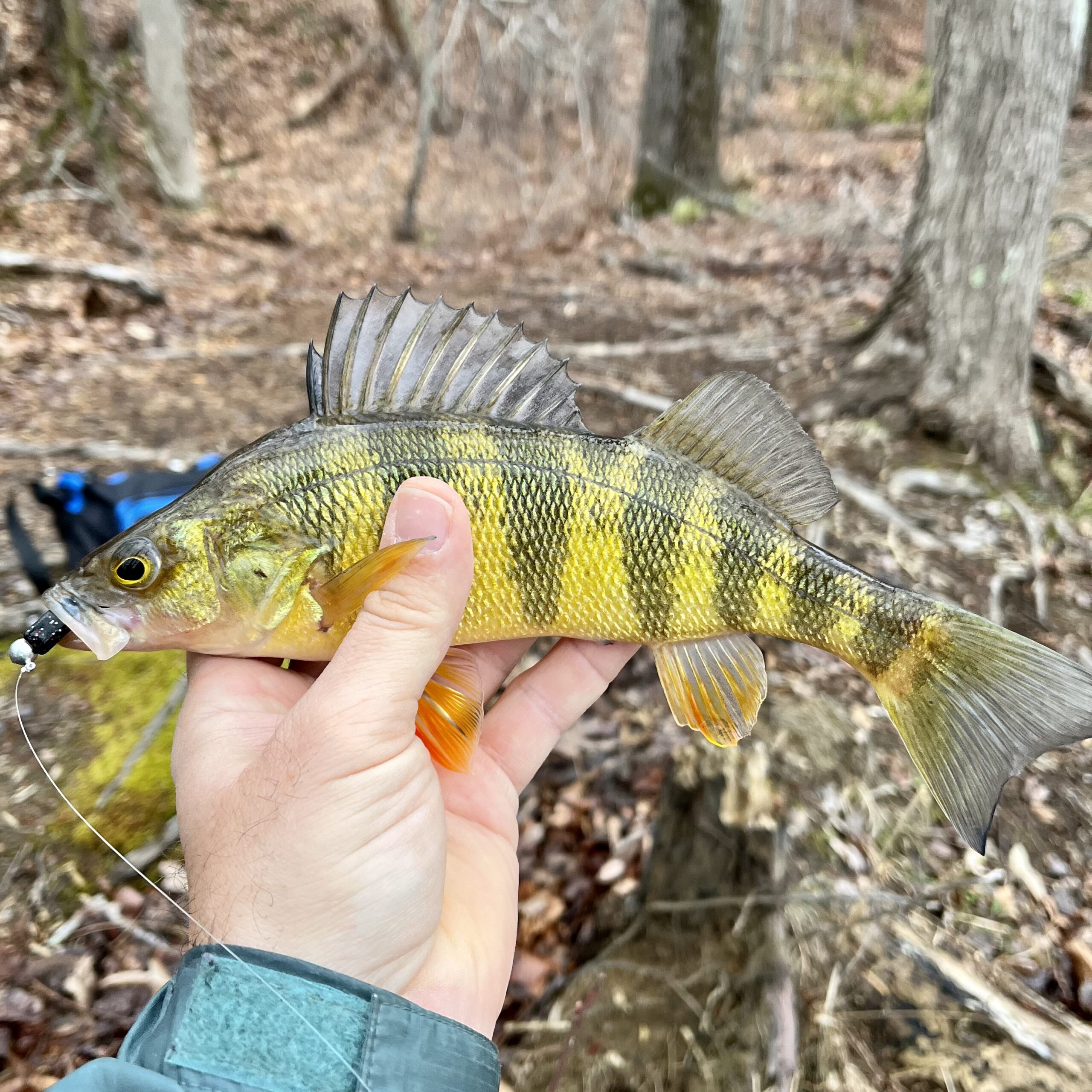 You are currently viewing Early April: Mixed Panfish
