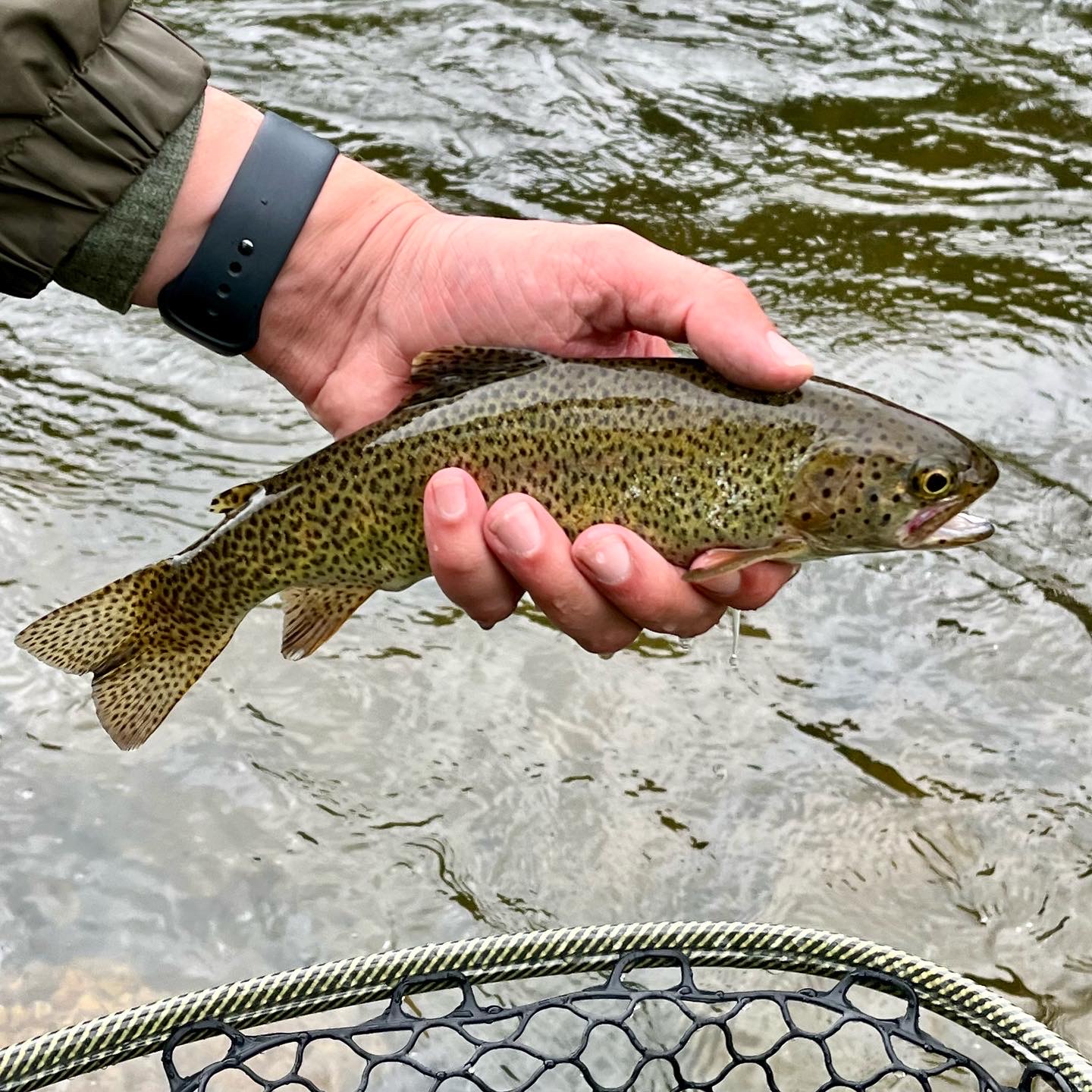 Read more about the article Fly Fishing the Arkansas