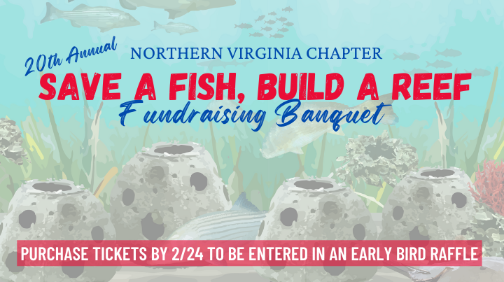 Read more about the article Save a Fish, Build a Reef Fundraising Banquet