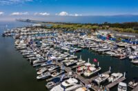 Read more about the article Bay Bridge Boat Show