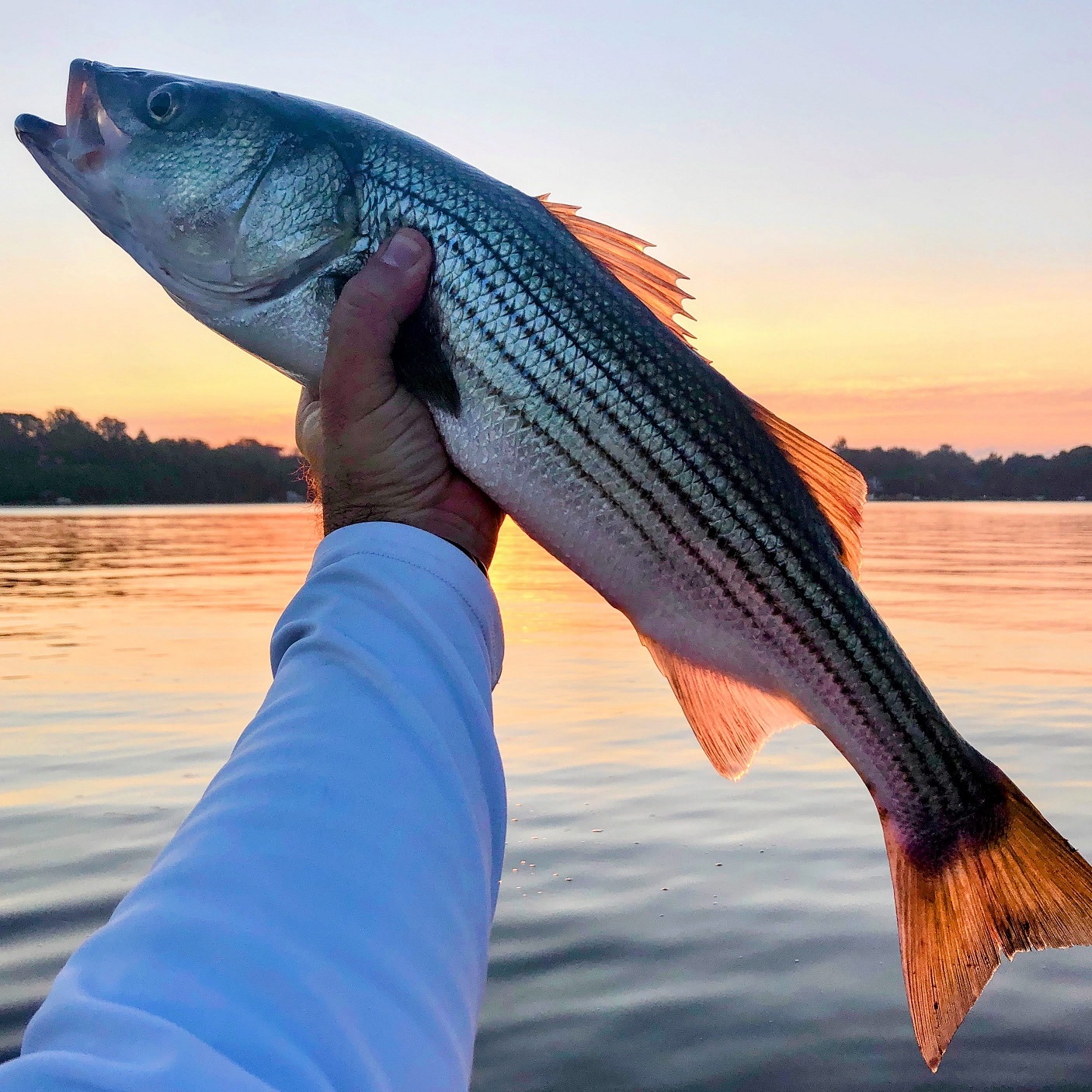 Read more about the article Weekly Fishing Report