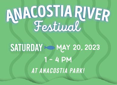 Read more about the article Anacostia River Festival