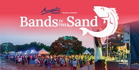 Read more about the article Bands in the Sand