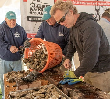 Read more about the article OysterFest at CBMM