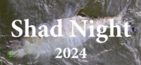 Read more about the article Shad Night 2024!
