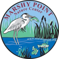 Read more about the article Marshy Point’s Spring Festival