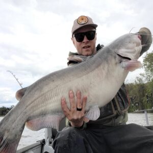 Read more about the article The Invasive Blue Catfish of the Chesapeake Bay
