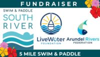 Read more about the article Swim & Paddle the South River