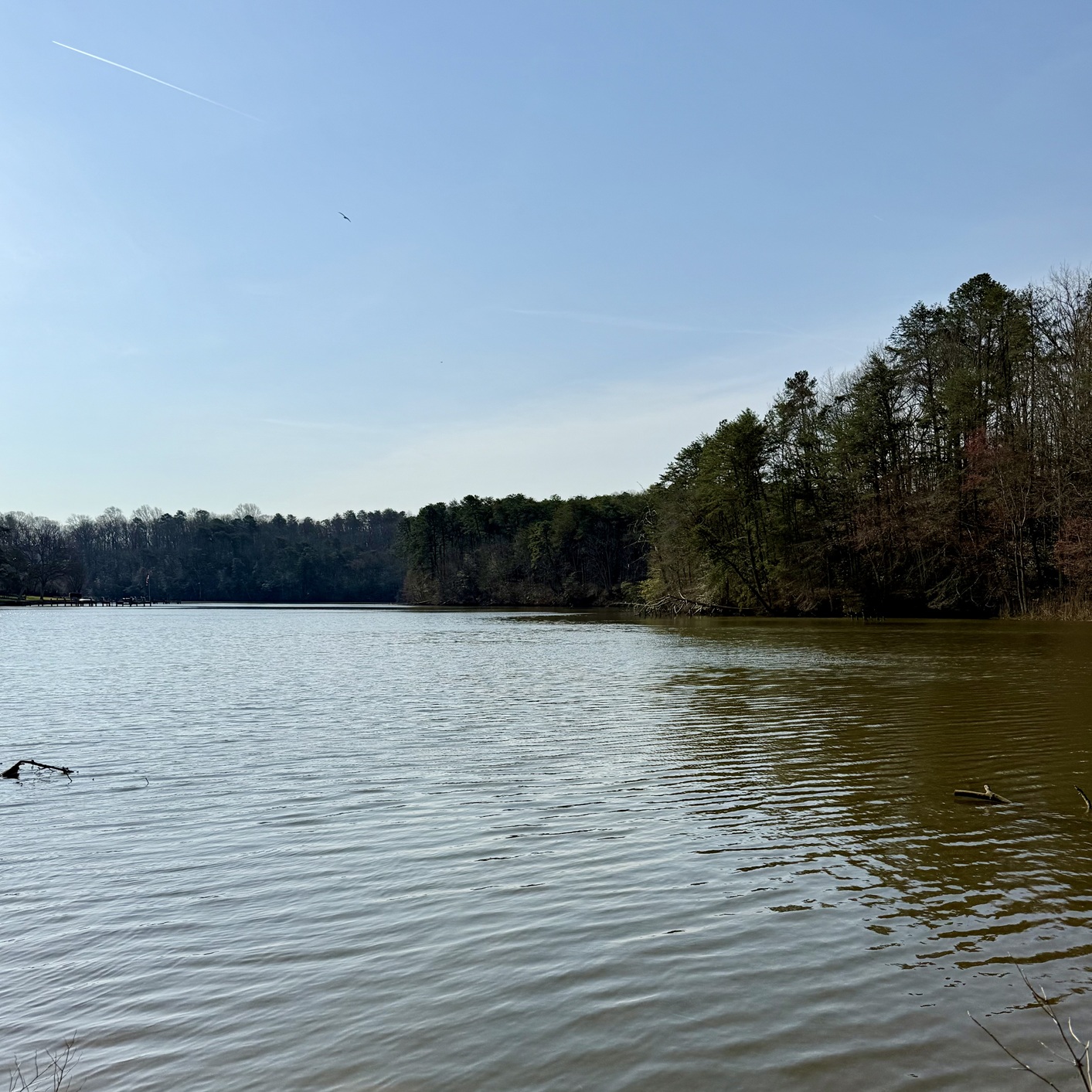 Early Spring at Severn Run