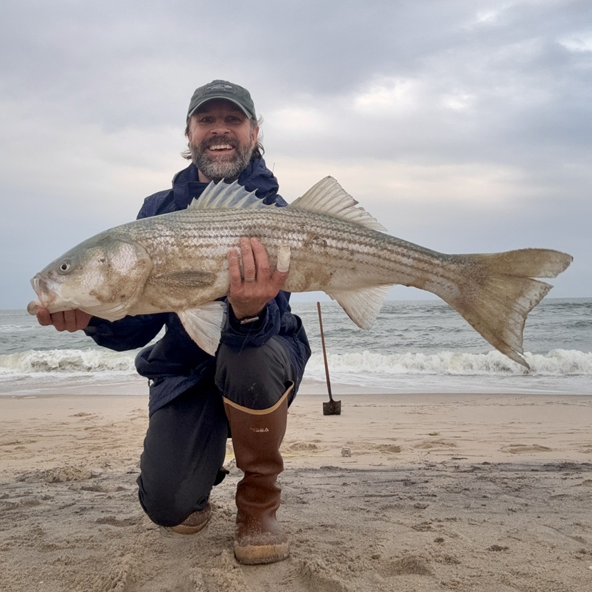 Assateague Island Wonderland