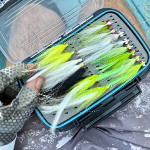 Read more about the article Calling of the Fly