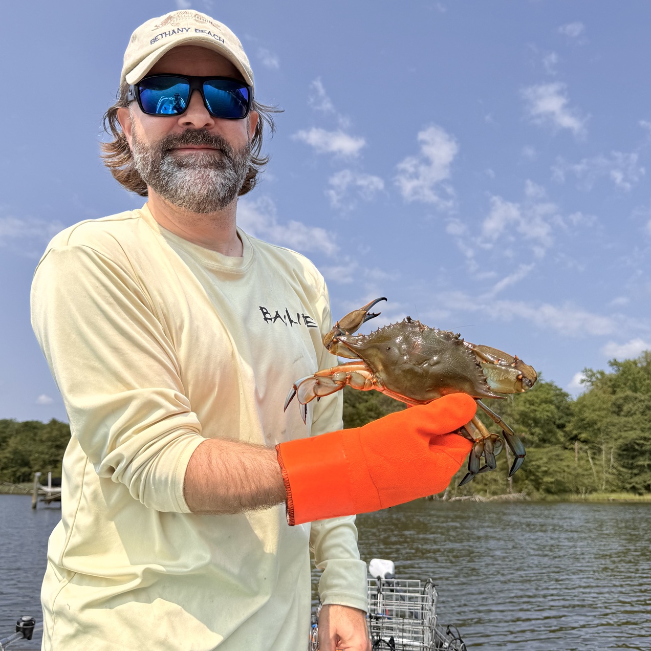 Read more about the article Spot Searching for Blue Crabs